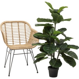 KARE roślina dekoracyjna FIDDLE LEAF 120  cm