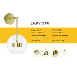 MOOSEE lampa ścienna CAPRI WALL 6 złota