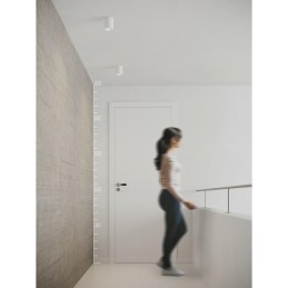 AZZARDO lampa sufitowa / plafon BRANT     czarna / chromowana