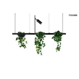 MOOSEE lampa wisząca PLANT LINE czarna