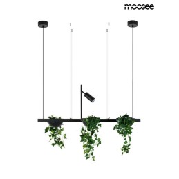 MOOSEE lampa wisząca PLANT LINE czarna