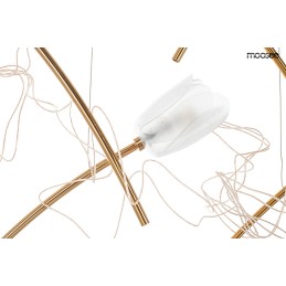MOOSEE lampa wisząca TULIPPE 7 DISC złota